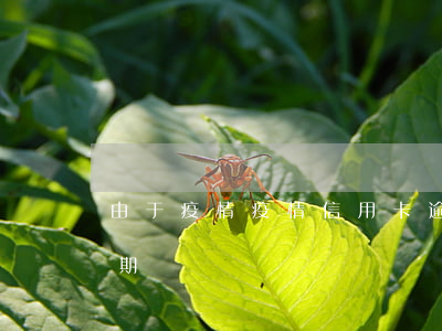 由于疫情疫情信用卡逾期(疫情期間信用卡逾期)