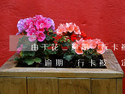 由于花唄逾期銀行卡被鎖定怎么辦-由于花唄逾期銀行卡被鎖定怎么辦呢