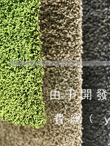 由于開發(fā)商逾期交房，物業(yè)費應(yīng)誰來承擔