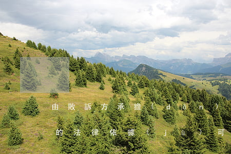 由敗訴方承擔(dān)律師費(fèi)的法律依據(jù)(可以要求敗訴方承擔(dān)律師費(fèi)的情形)