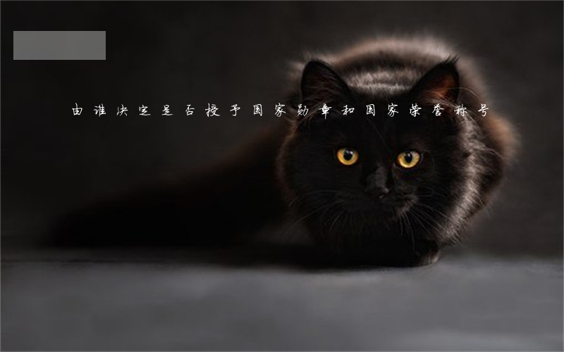 由谁决定是否授予国家勋章和国家荣誉称号