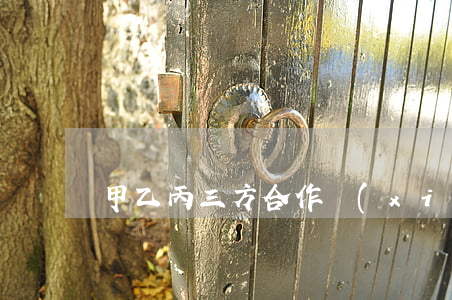 甲乙丙三方合作協(xié)議
