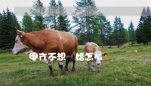 甲亢不想離婚怎么辦