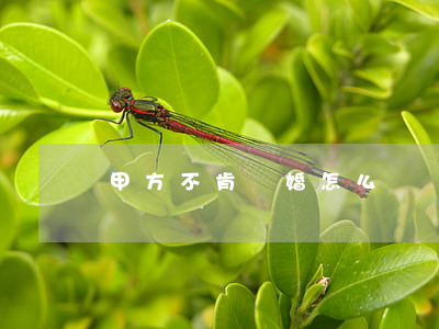 甲方不肯離婚怎么辦