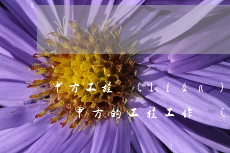 甲方工程聯(lián)系函怎么回復(乙方對甲方的工程工作聯(lián)系函)