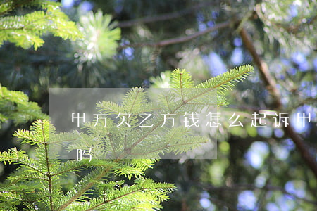 甲方欠乙方钱怎么起诉（甲方欠钱走起诉有用吗）
