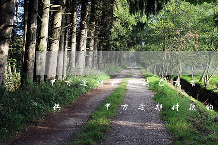 甲方逾期付款的乙方有權(quán)停止供貨-甲方逾期付款的乙方有權(quán)停止供貨嗎