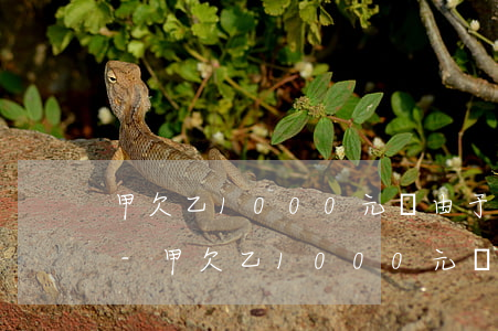 甲欠乙1000元錢,由于無(wú)力償還-甲欠乙1000元錢由于無(wú)力償還