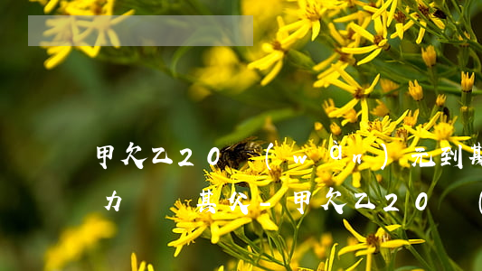 甲欠乙20萬(wàn)元到期無(wú)力償還,其父-甲欠乙20萬(wàn)元到期無(wú)力償還,其父病故后