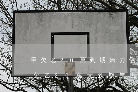 甲欠乙20萬到期無力償還,其父病故后-甲欠乙20萬元到期無力償還,其父病故后
