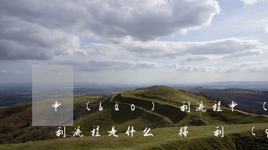 申報(bào)專利流程申報(bào)專利流程是什么（獲得專利權(quán)后，專利權(quán)人應(yīng)注意什么）