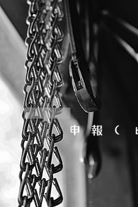 申報(bào)是什么意思