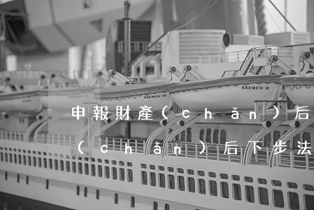 申報財產(chǎn)后無力償還(申報財產(chǎn)后,下步法院會做什么)