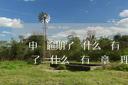 申報逾期了為什么沒有違章處理-申報逾期了為什么沒有違章處理呢