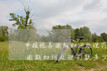 申报税务逾期如何处理罚款多少-申报税务逾期如何处理罚款多少钱