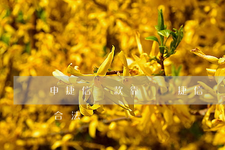申捷信貸款靠譜嗎(捷信貸款正規(guī)合法嗎)