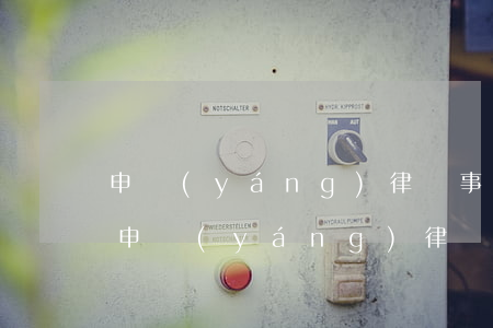 申揚(yáng)律師事務(wù)所律師(申揚(yáng)律師事務(wù)所律師介紹)
