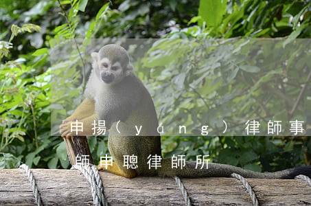 申揚(yáng)律師事務(wù)所郝律師(申聰律師所)