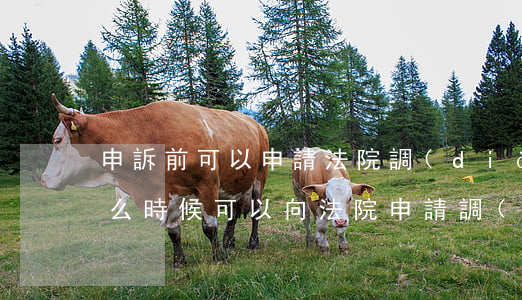 申訴前可以申請法院調(diào)查嗎(什么時候可以向法院申請調(diào)查取證)