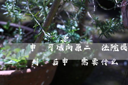 申訴可以向原二審法院提出嗎(民事案件二審判決后申訴需要什么條件)