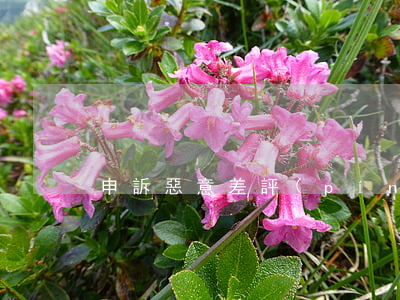 申訴惡意差評(píng)的途徑有哪些