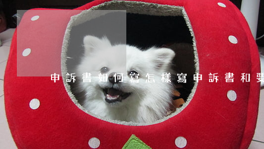 申訴書如何寫(怎樣寫申訴書和要求)