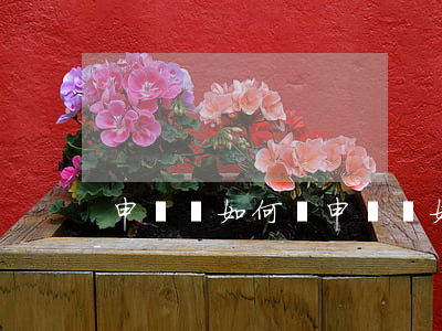 申訴書如何寫(申訴書如何寫法)