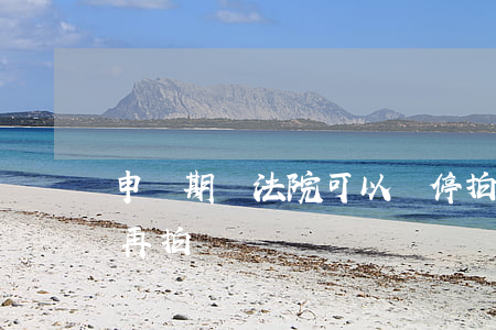 申訴期間法院可以暫停拍賣嗎(拍賣中止多久再拍賣)
