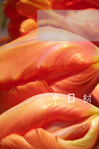 申訴材料怎么寫(健康碼申訴材料怎么寫)
