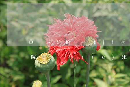 申訴法院拍賣結(jié)果可以嗎(申訴法院拍賣結(jié)果可以嗎)