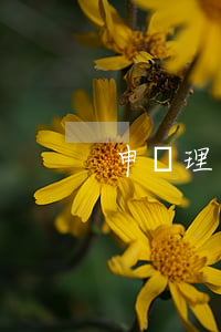 申訴理由怎么寫通過率高