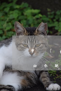 申請(qǐng)人評(píng)殘情況公示期限