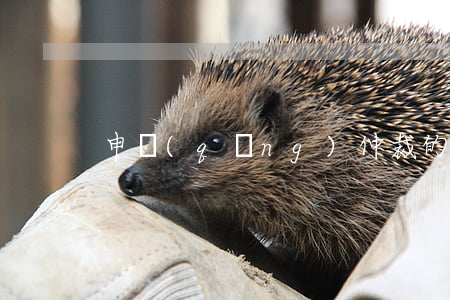 申請(qǐng)仲裁的法定條件是什么