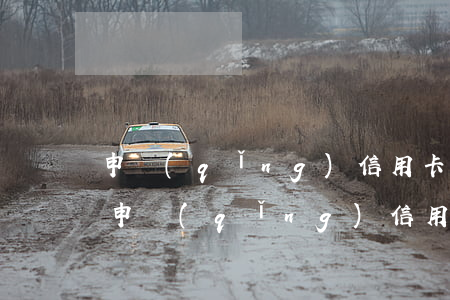 申請(qǐng)信用卡不通過原因怎么填（申請(qǐng)信用卡不通過原因）