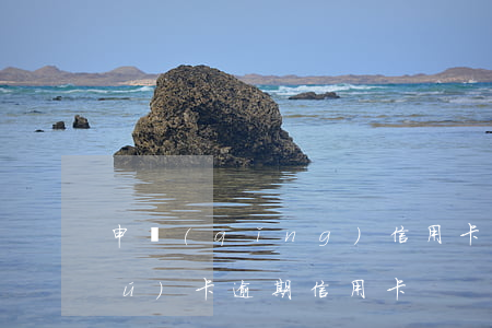 申請(qǐng)信用卡什么叫逾期無(wú)卡(逾期 信用卡)