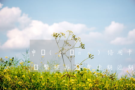 申請(qǐng)信用卡網(wǎng)貸頻繁被拒沒有逾期(近期頻繁申請(qǐng)網(wǎng)貸被拒)