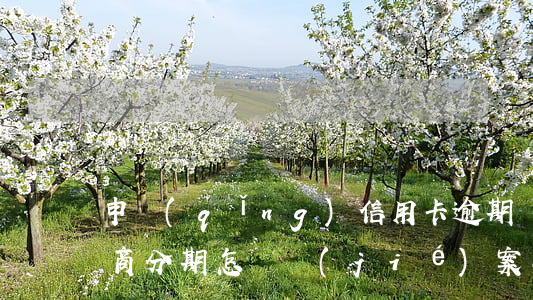 申請(qǐng)信用卡逾期協(xié)商分期怎樣結(jié)案-申請(qǐng)信用卡逾期協(xié)商分期怎樣結(jié)案的