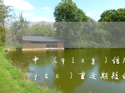 申請(qǐng)信用逾期助力(信用貸嚴(yán)重逾期短信)