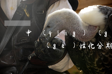 申請(qǐng)個(gè)性化分期怎么說 個(gè)性化分期申請(qǐng)條件