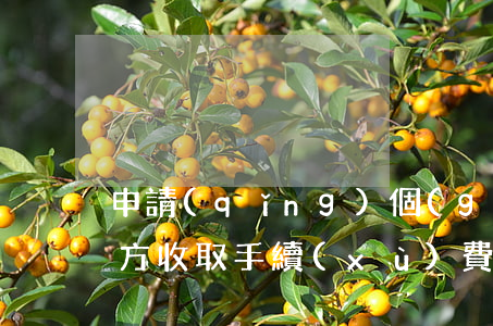 申請(qǐng)個(gè)性化分期第三方收取手續(xù)費(fèi)-申請(qǐng)個(gè)性化分期第三方收取手續(xù)費(fèi)合理嗎?