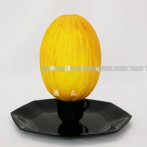 申請(qǐng)停息掛賬會(huì)通過么