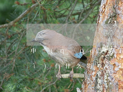申請(qǐng)停息掛賬沒通過會(huì)有什么影響嗎（停息掛賬說要開困難證明）
