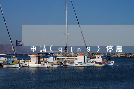 申請(qǐng)停息掛賬被拒怎么辦