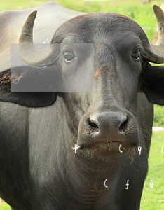 申請(qǐng)勞動(dòng)仲裁的風(fēng)險(xiǎn)律師費(fèi)用標(biāo)準(zhǔn)是多少?(勞動(dòng)仲裁代理律師費(fèi)用一般多少)