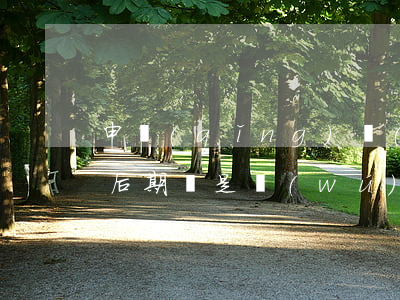 申請(qǐng)協(xié)商延期一年后期間是無(wú)需還款嘛-申請(qǐng)協(xié)商延期一年后期間是無(wú)需還款嘛