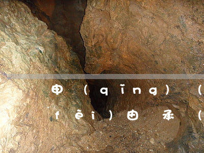 申請(qǐng)執(zhí)行律師費(fèi)由誰承擔(dān)(律師執(zhí)行費(fèi)用另外收費(fèi)嗎)