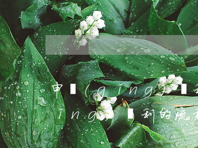 申請(qǐng)專利的基本流程(申請(qǐng)專利的流程六個(gè)流程)