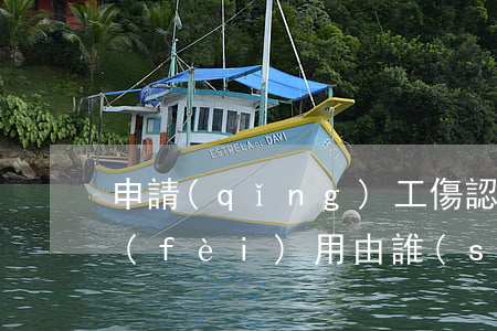 申請(qǐng)工傷認(rèn)定的費(fèi)用由誰(shuí)承擔(dān)