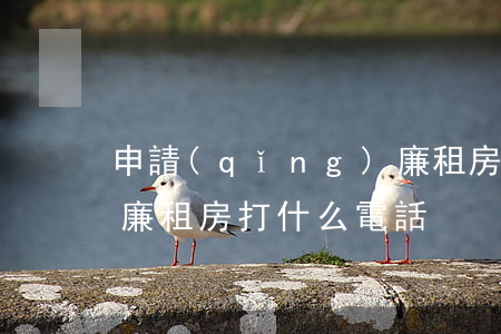 申請(qǐng)廉租房(申請(qǐng)廉租房打什么電話)