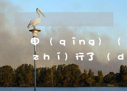 申請(qǐng)強(qiáng)制執(zhí)行了對(duì)方暫時(shí)無(wú)力償還-申請(qǐng)強(qiáng)制執(zhí)行了對(duì)方暫時(shí)無(wú)力償還怎么辦